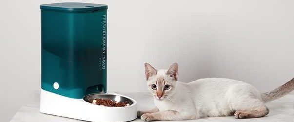 critères de choix distributeur croquettes pour chat